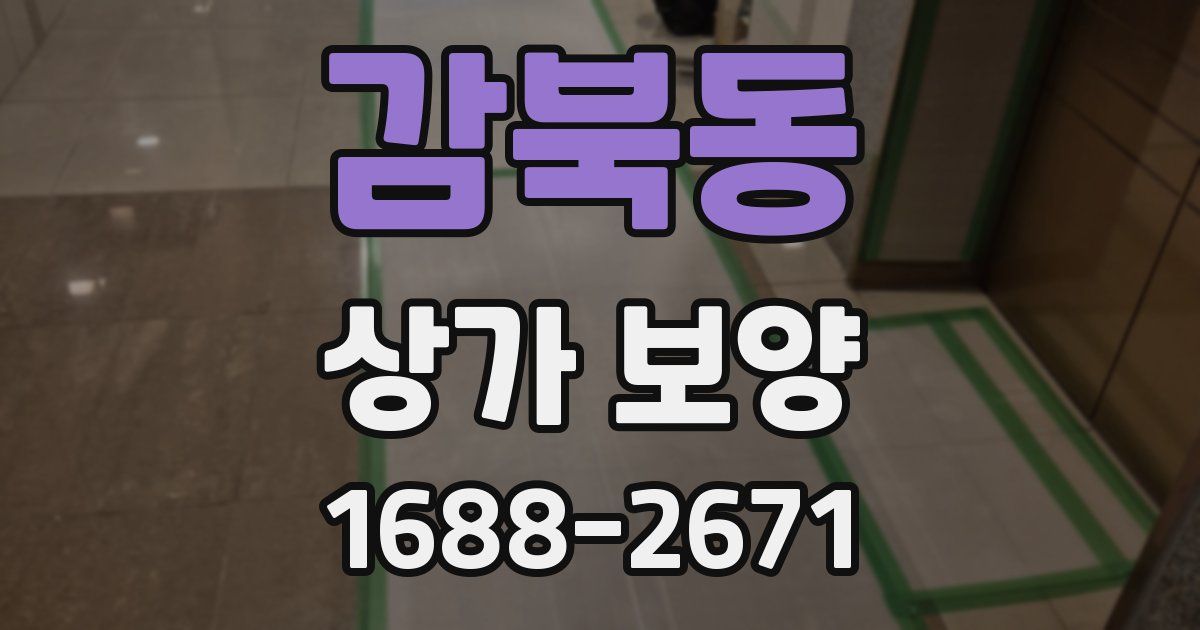 감북동 상가 보양