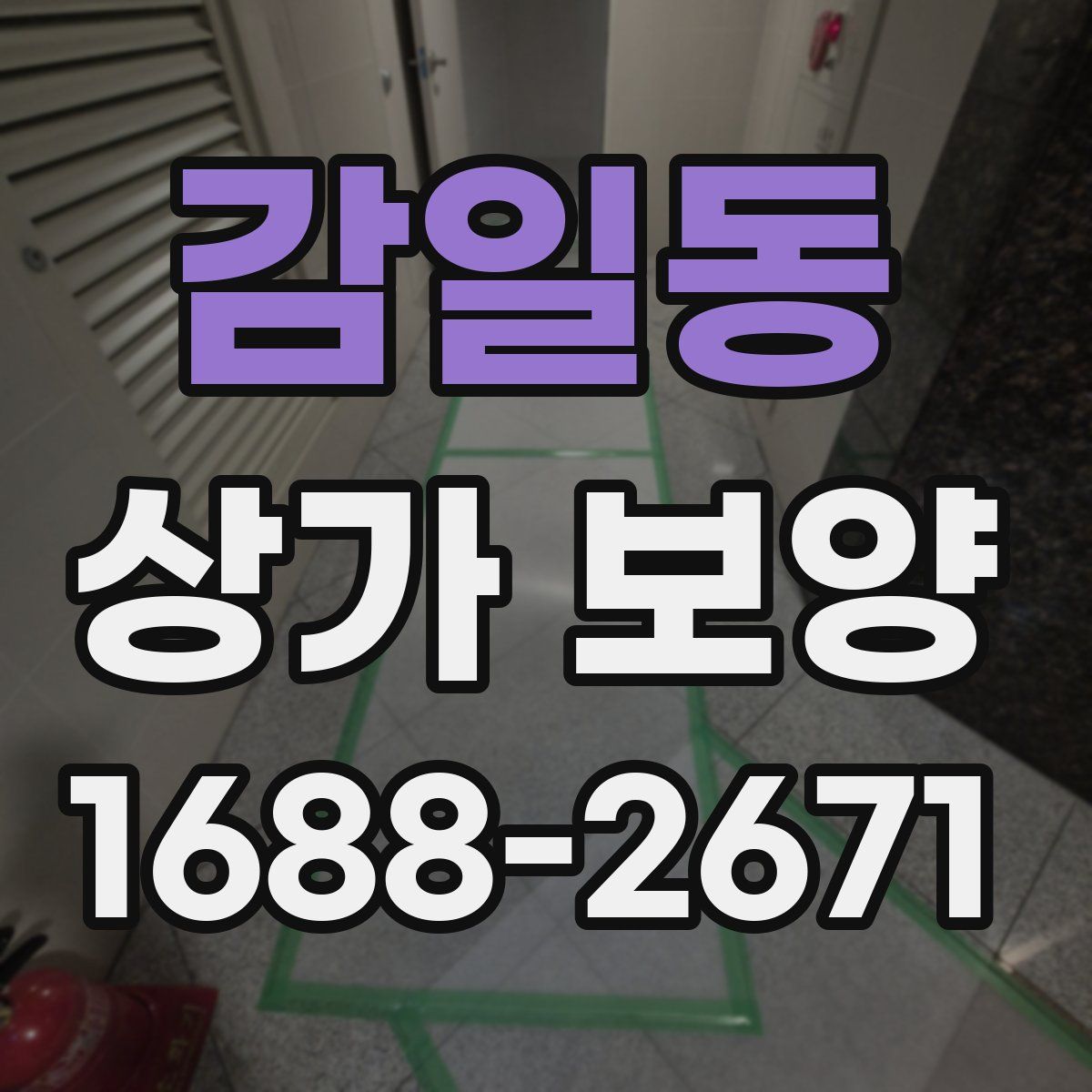 감일동 상가 보양