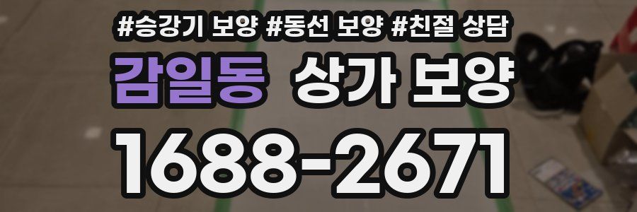 감일동 상가 보양
