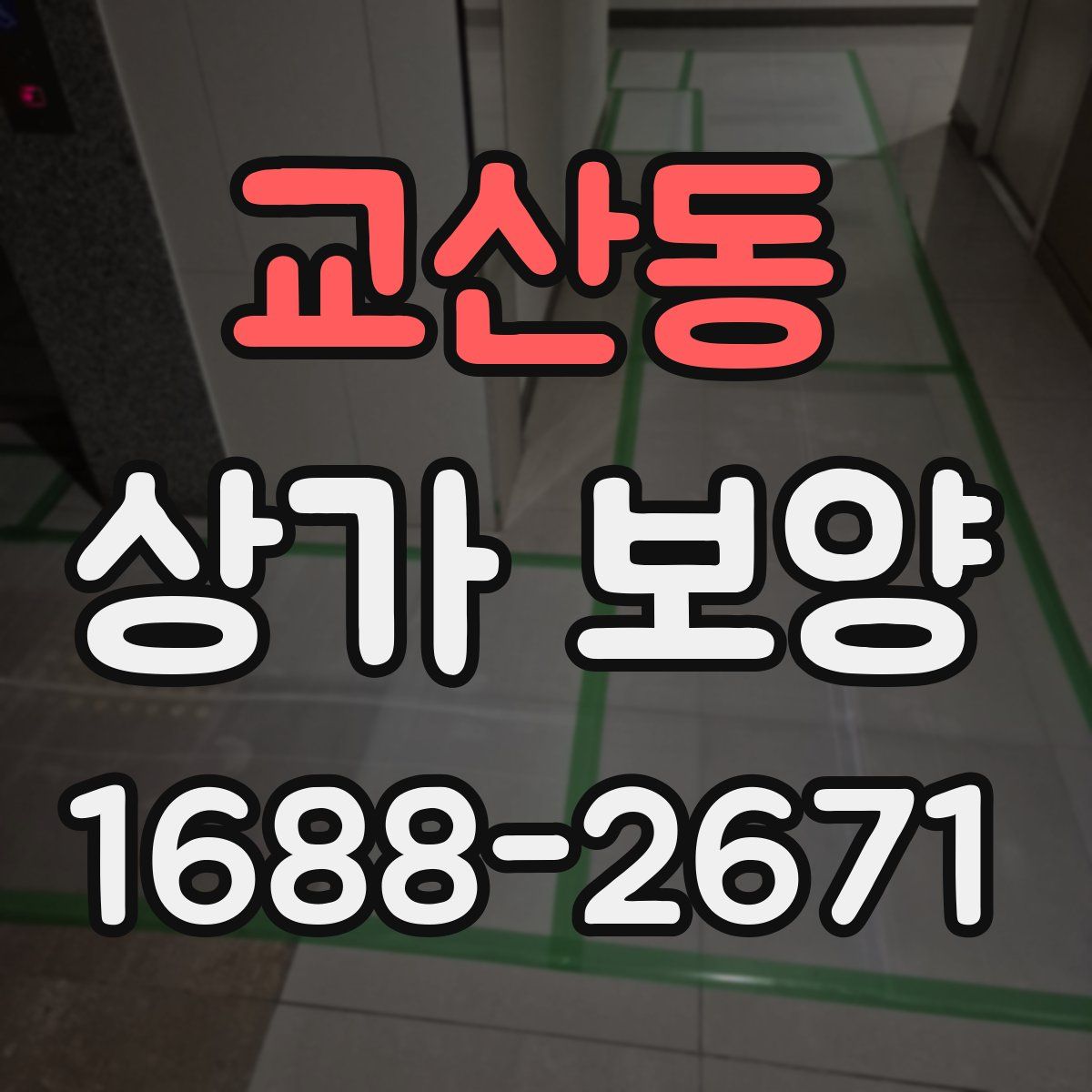 교산동 상가 보양