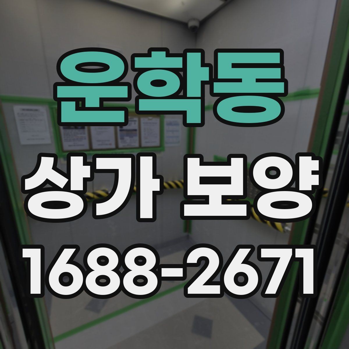 운학동 상가 보양 단계별 진행 흐름 정리