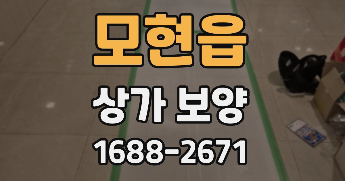 모현읍 상가 보양