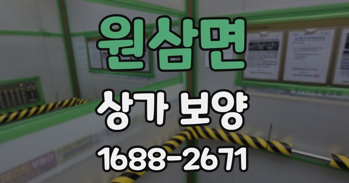 원삼면 상가 보양