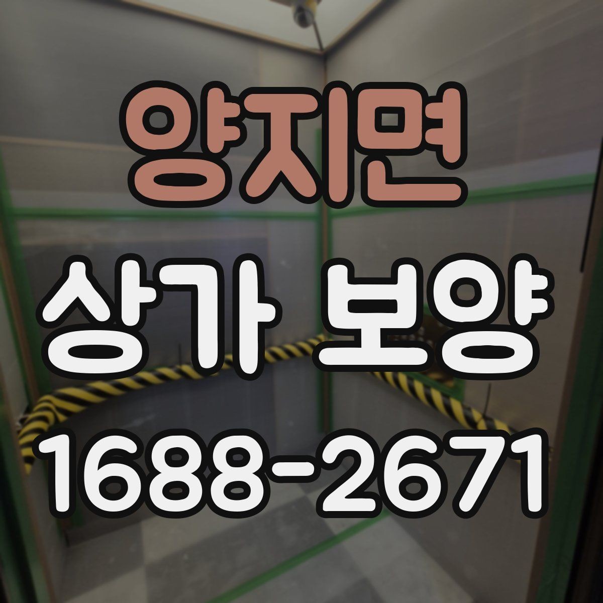 양지면 상가 보양 종류별 특징과 차이