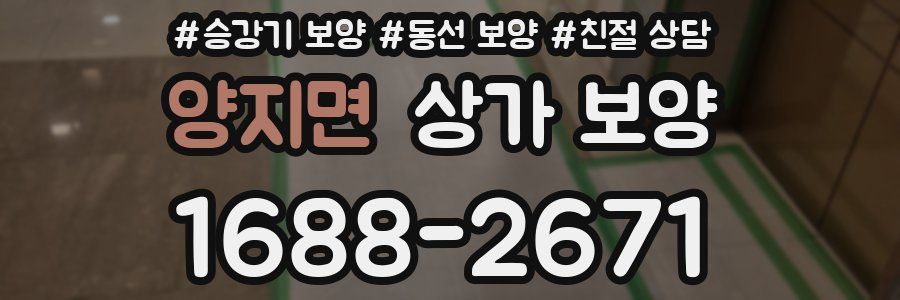 양지면 상가 보양