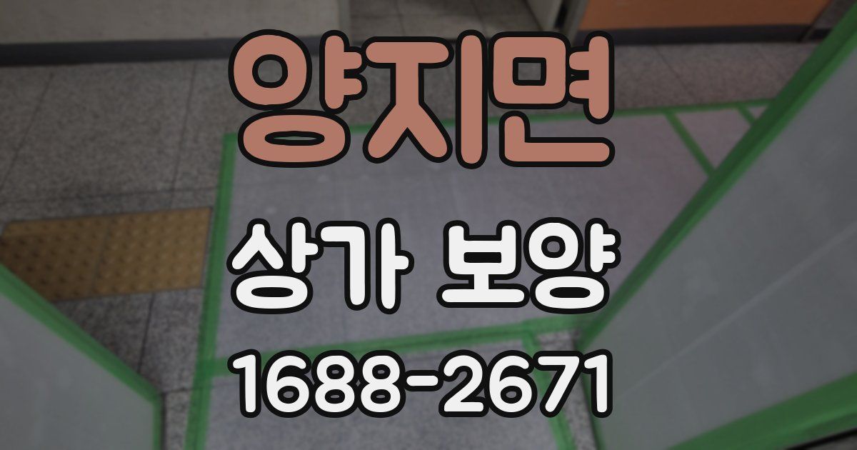 양지면 상가 보양