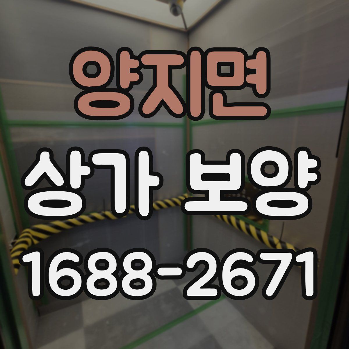 양지면 상가 보양