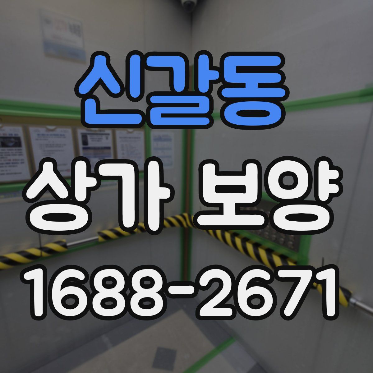신갈동 상가 보양