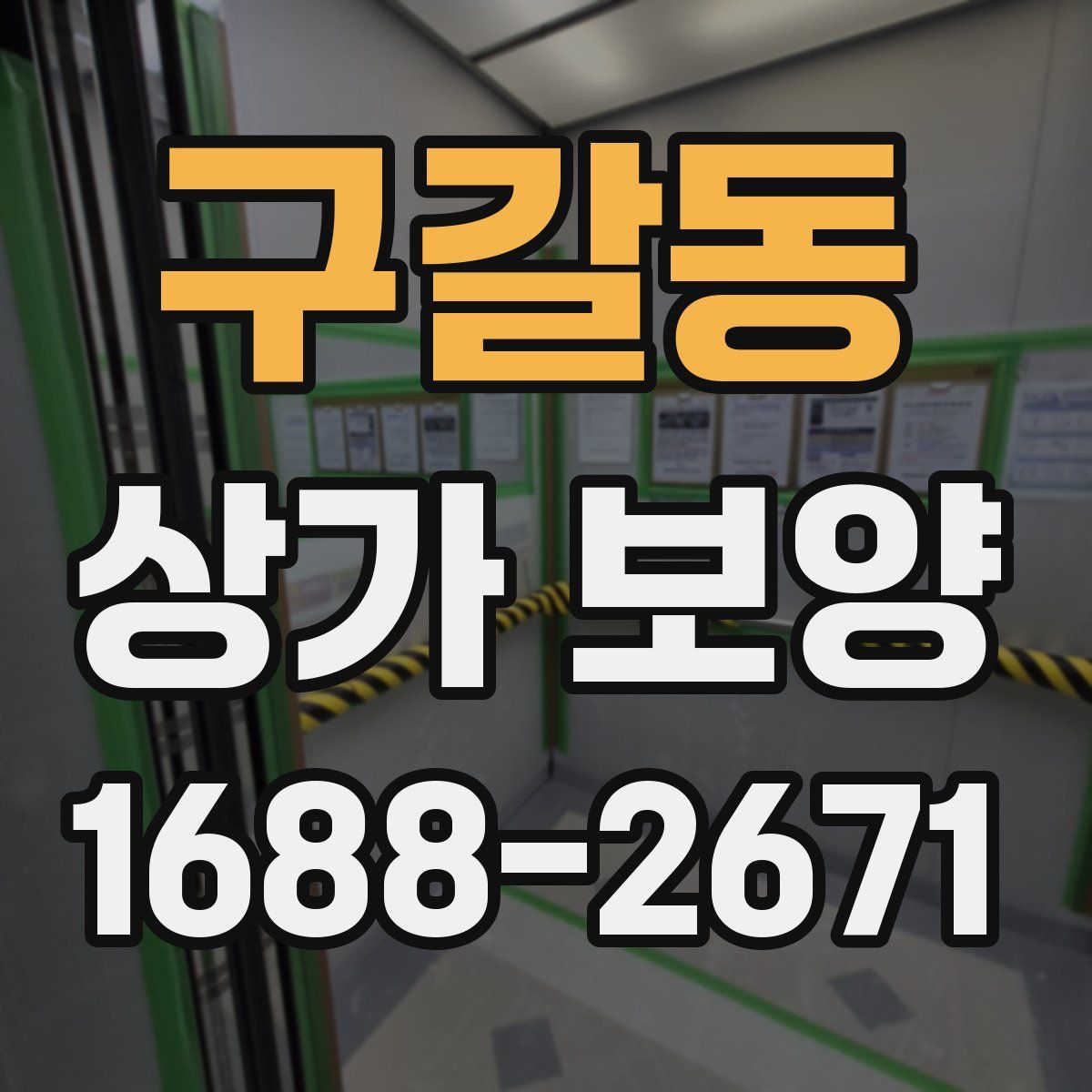 구갈동 상가 보양