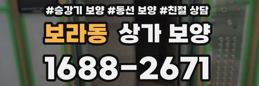 보라동 상가 보양