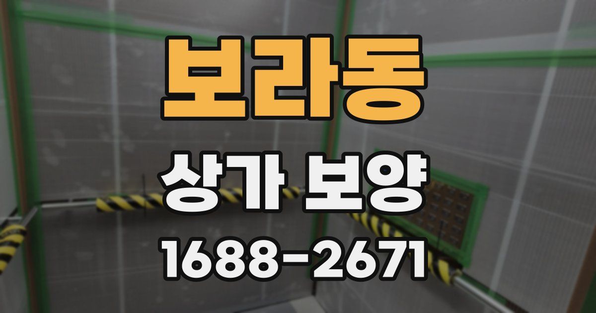 보라동 상가 보양