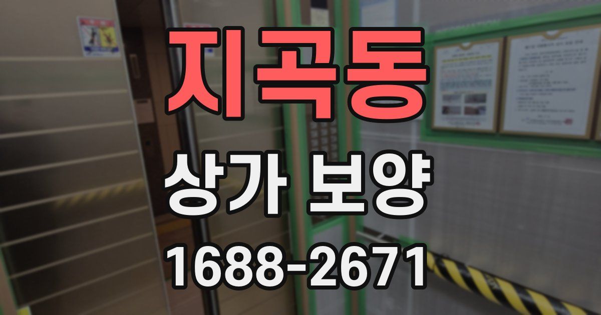 지곡동 상가 보양