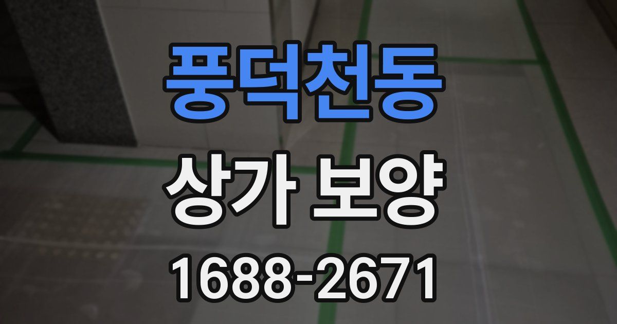 풍덕천동 상가 보양