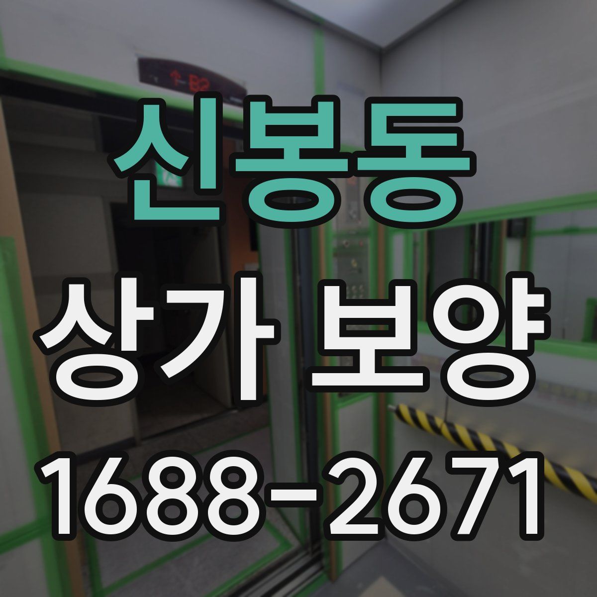 신봉동 상가 보양