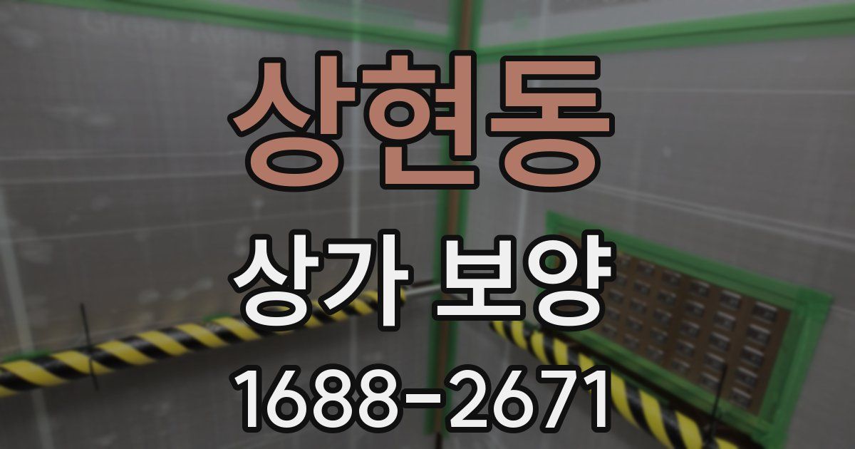 상현동 상가 보양