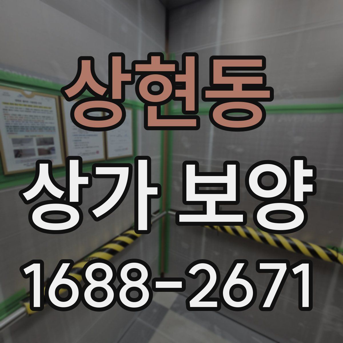 상현동 상가 보양