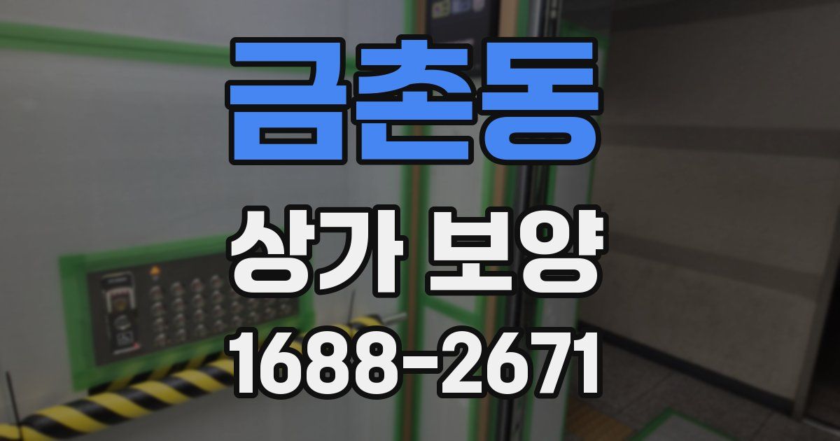 금촌동 상가 보양