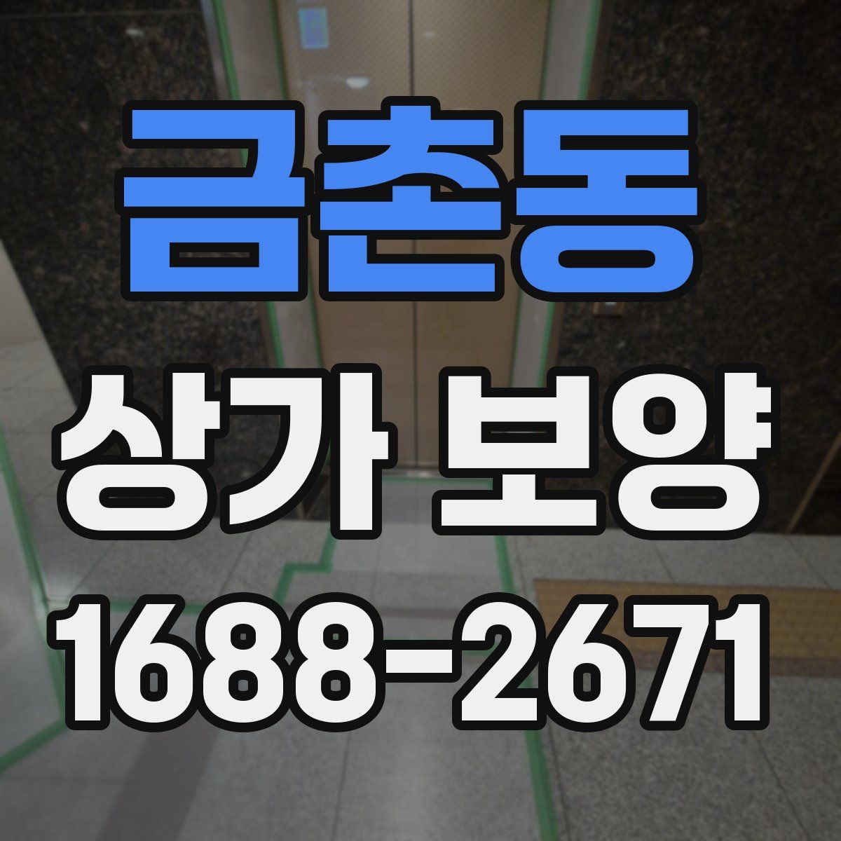 금촌동 상가 보양