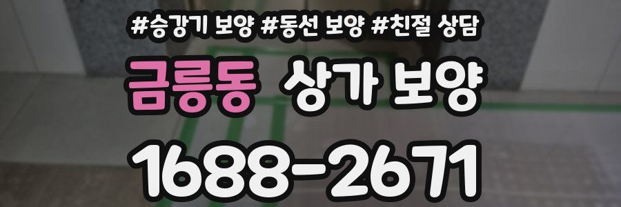 금릉동 상가 보양