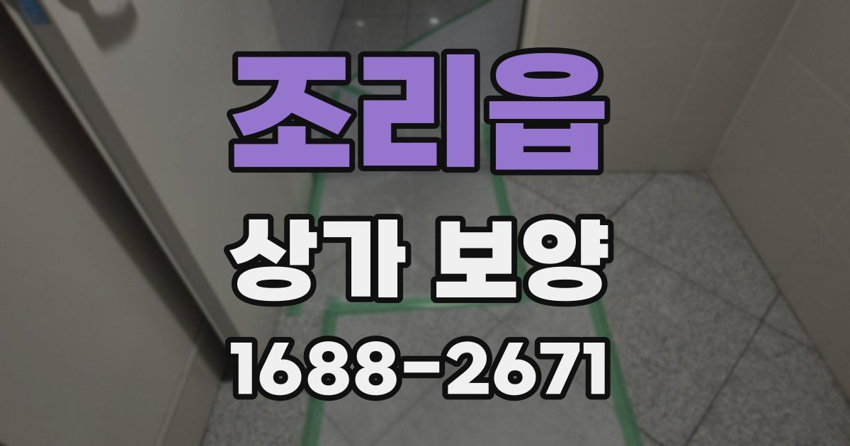 조리읍 상가 보양