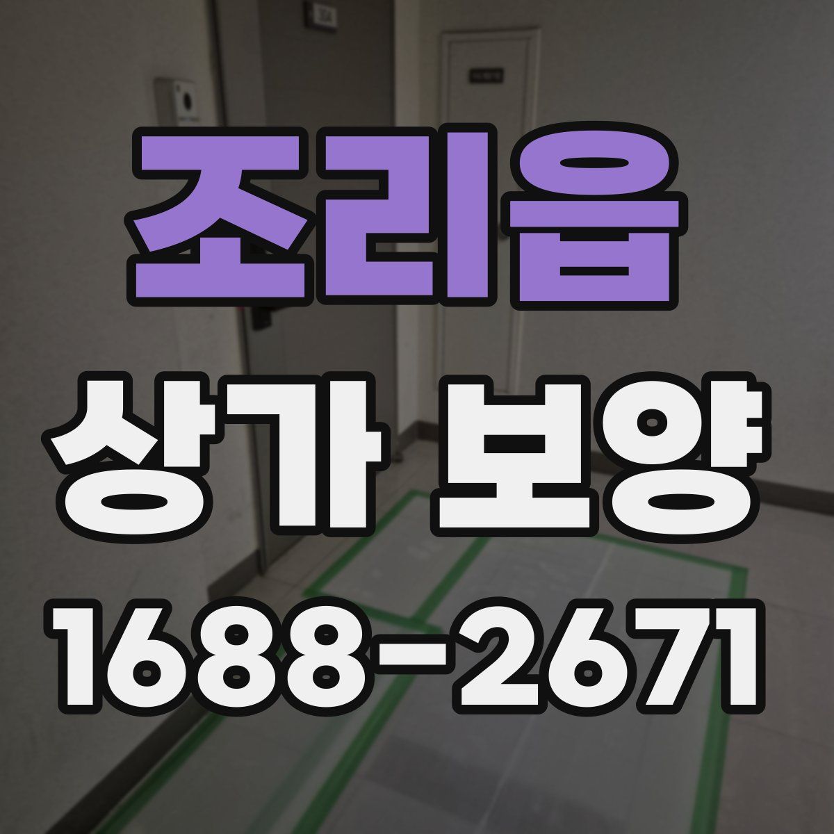 조리읍 상가 보양