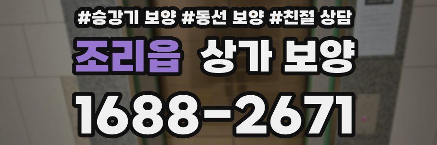 조리읍 상가 보양