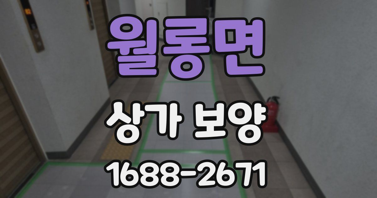 월롱면 상가 보양