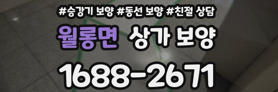 월롱면 상가 보양