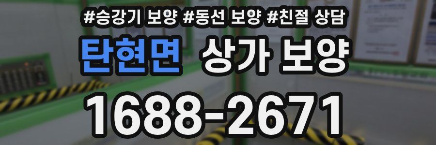 탄현면 상가 보양