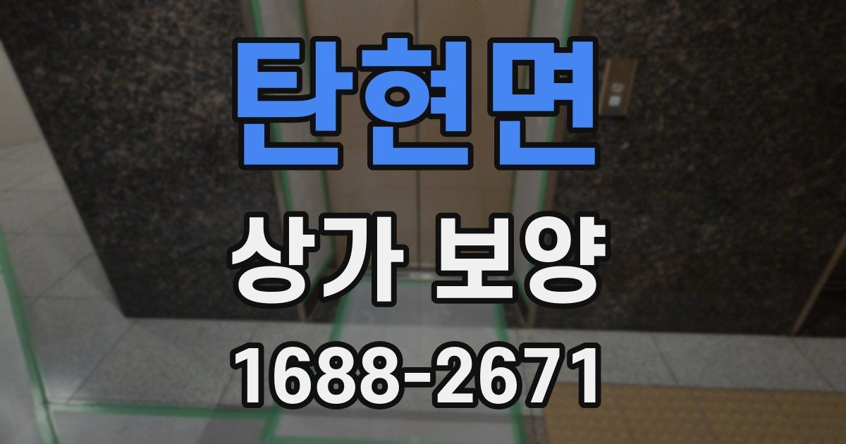 탄현면 상가 보양