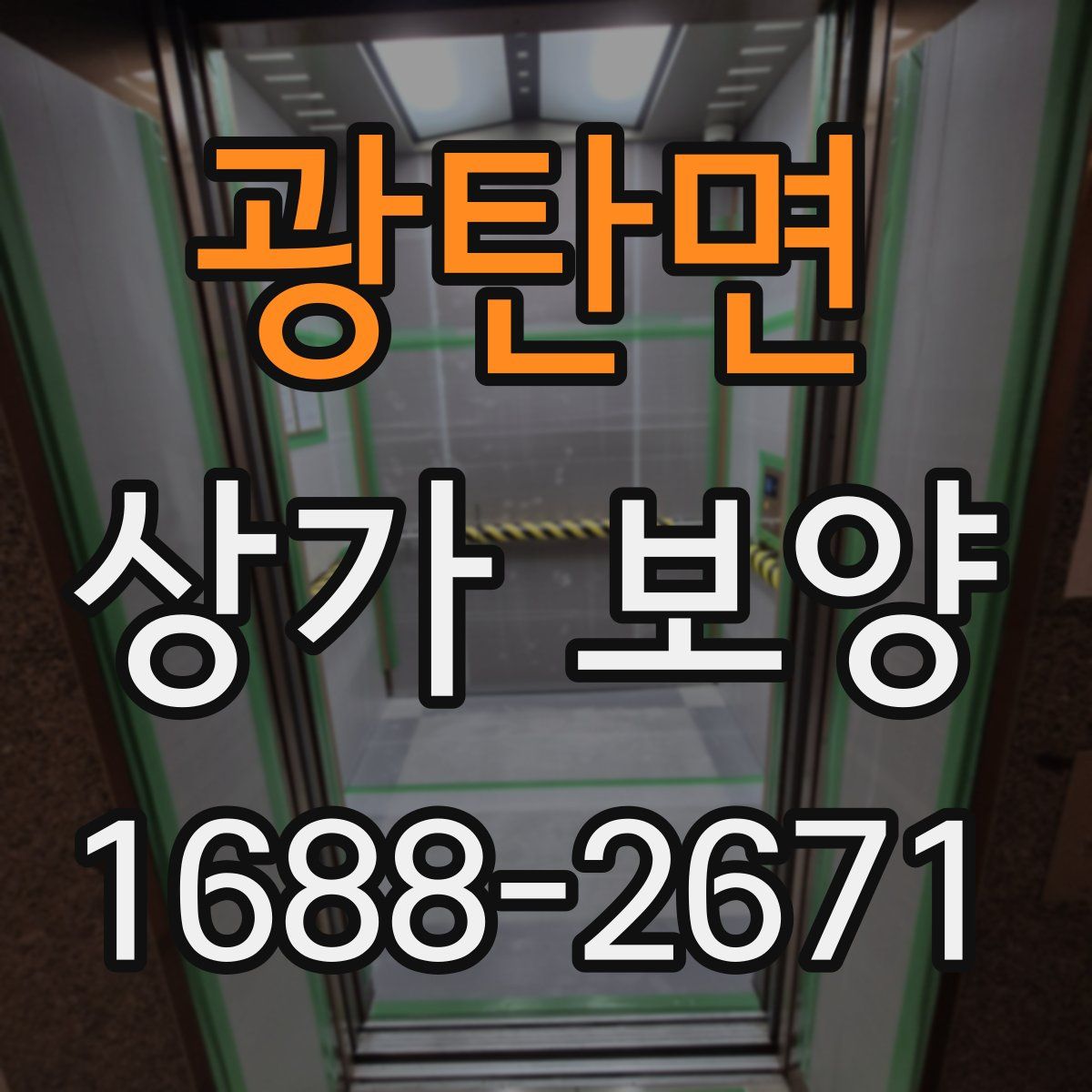 광탄면 상가 보양