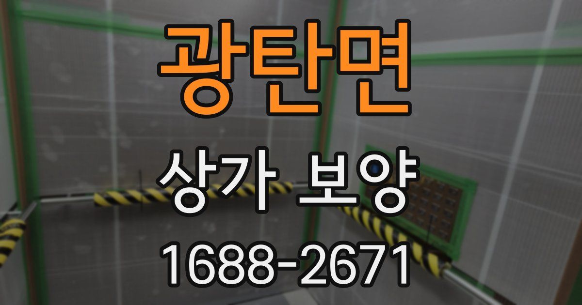 광탄면 상가 보양