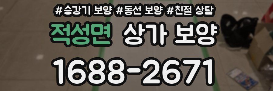 적성면 상가 보양
