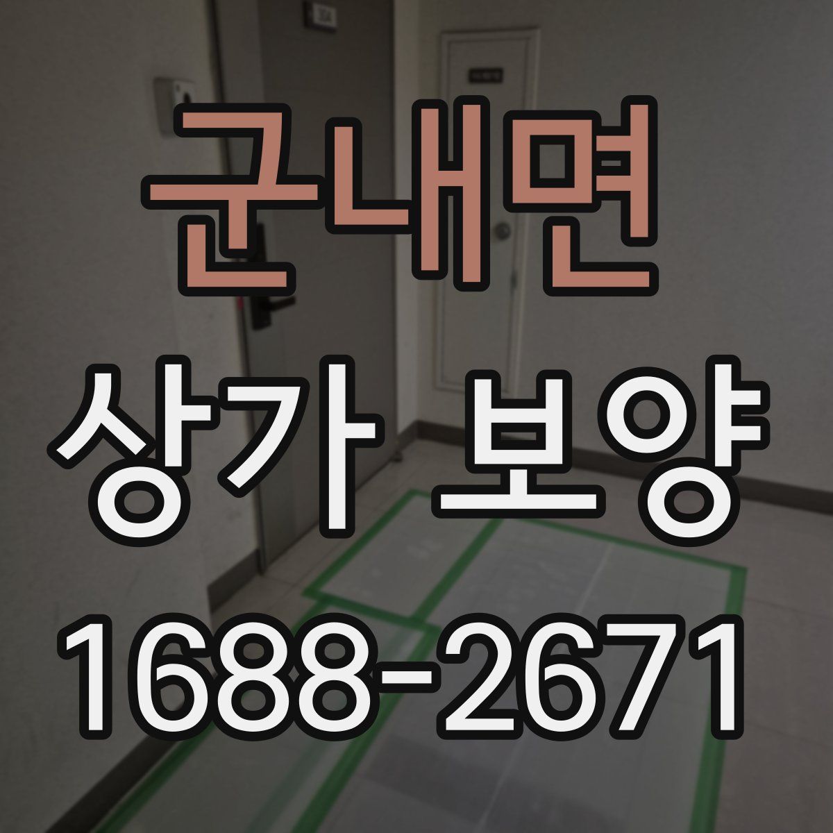 군내면 상가 보양