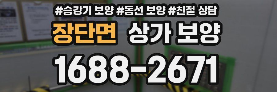 장단면 상가 보양