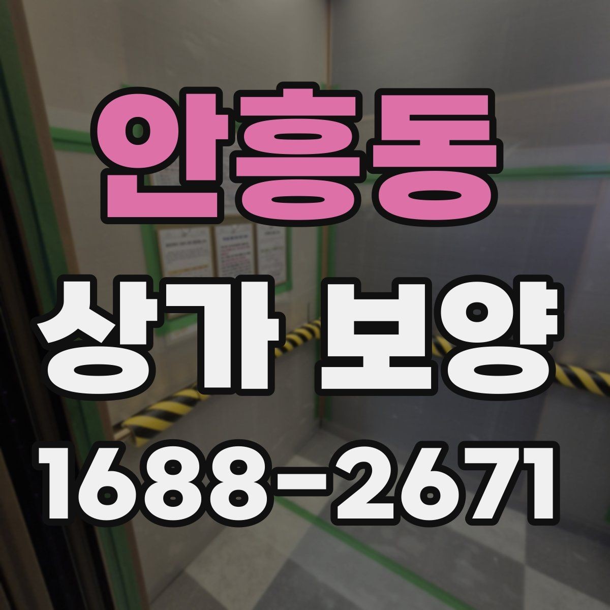 안흥동 상가 보양 단계별 진행 방식