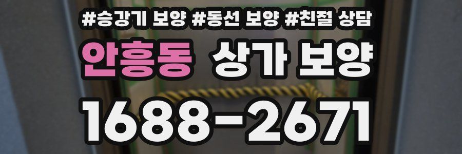 안흥동 상가 보양