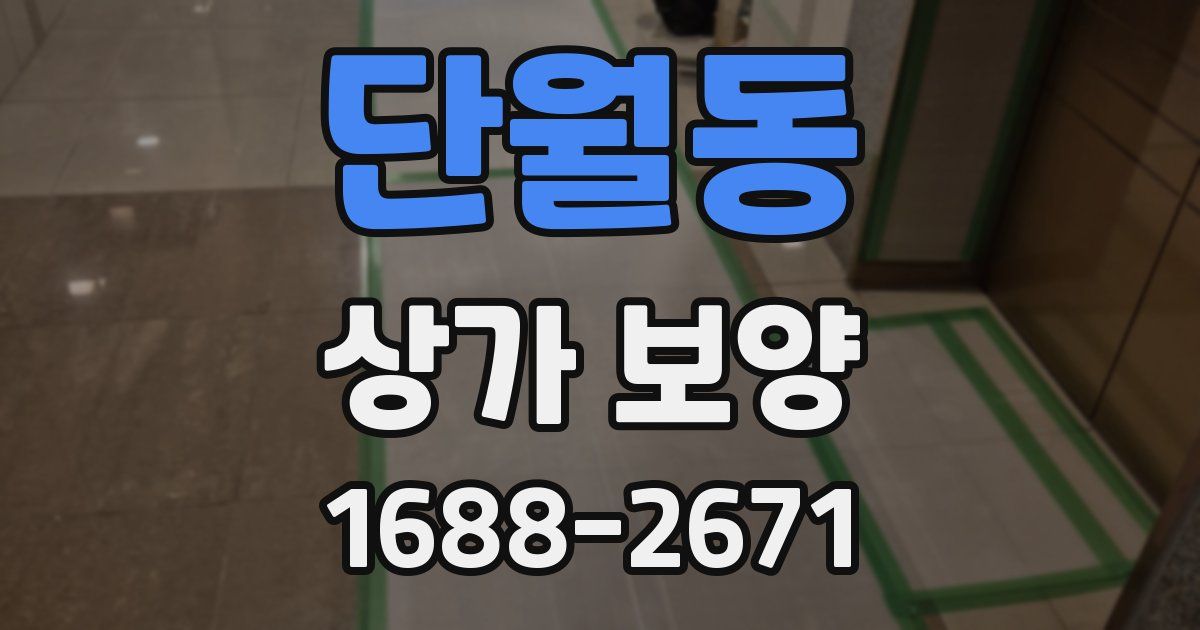 단월동 상가 보양