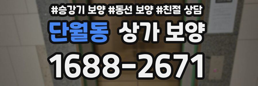 단월동 상가 보양