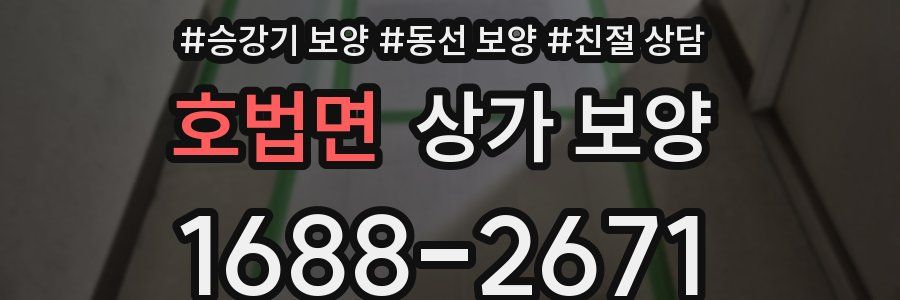호법면 상가 보양