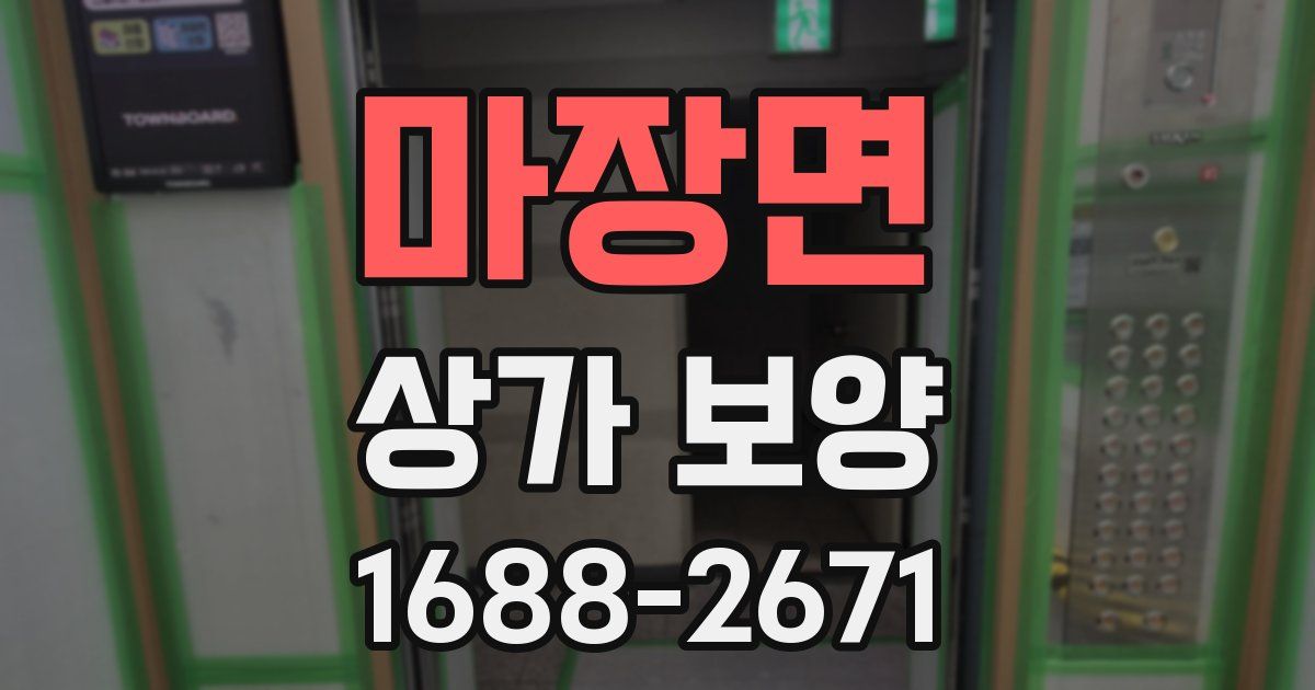 마장면 상가 보양