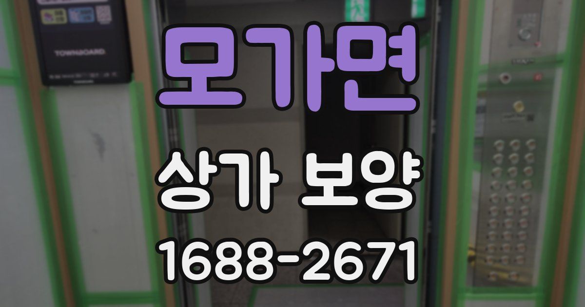 모가면 상가 보양
