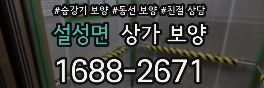설성면 상가 보양
