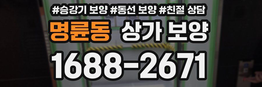 명륜동 상가 보양