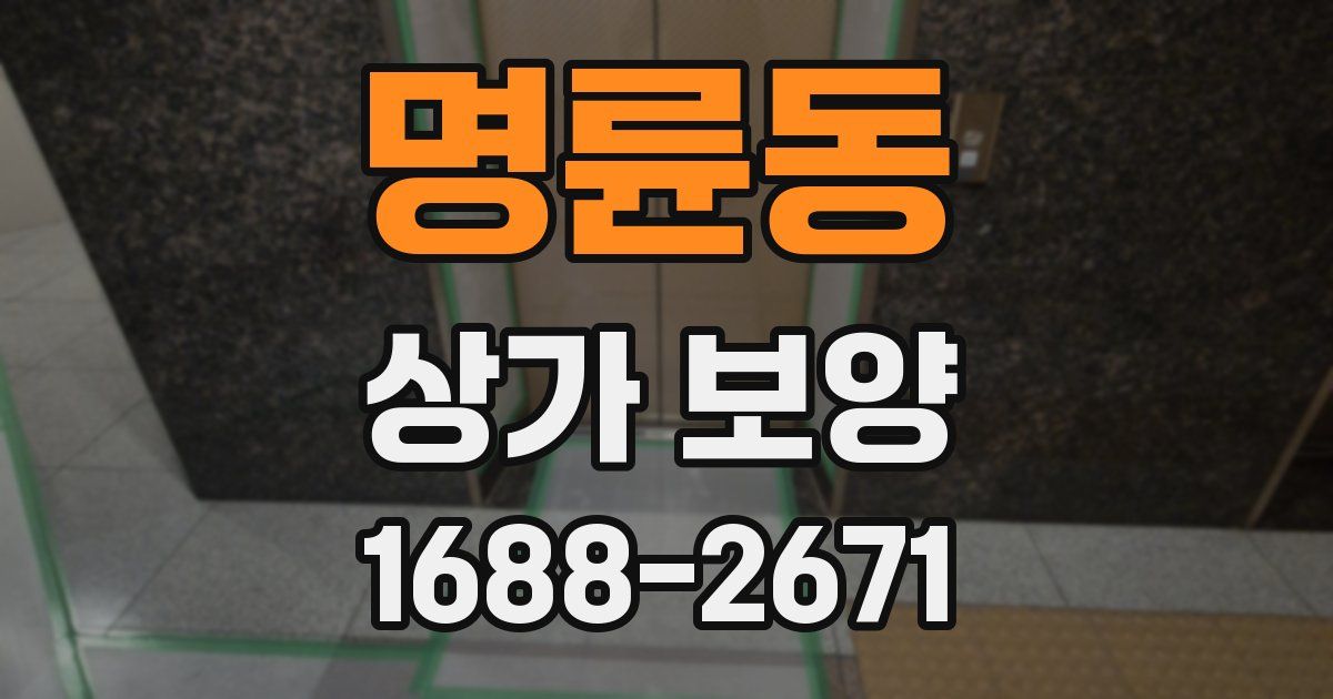 명륜동 상가 보양