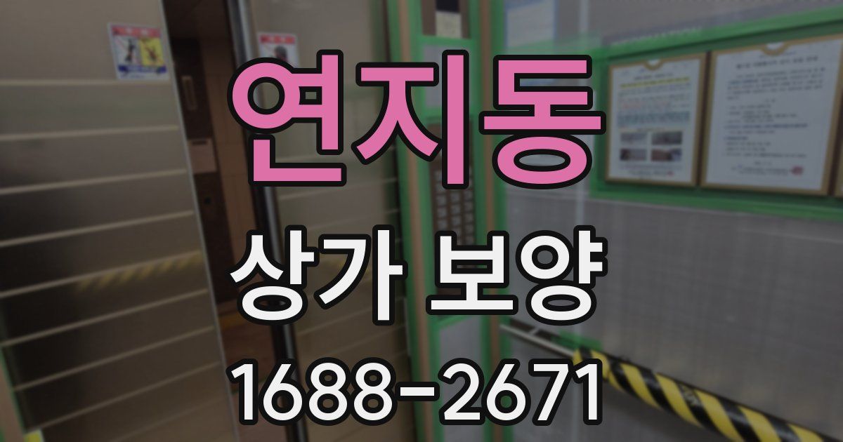 연지동 상가 보양
