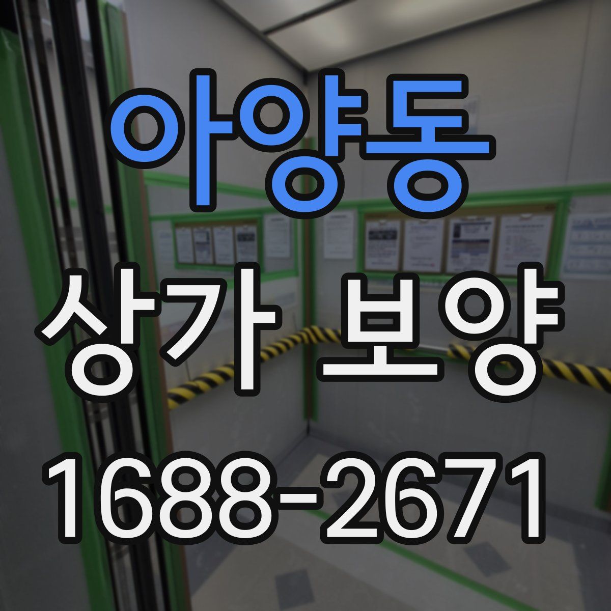 아양동 상가 보양