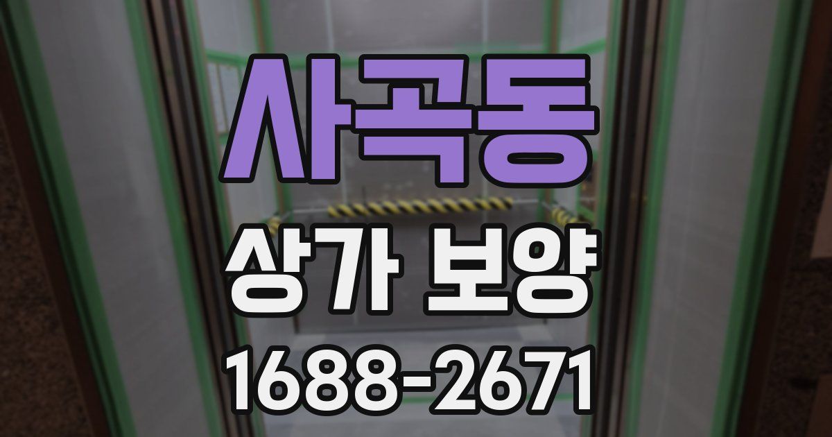 사곡동 상가 보양
