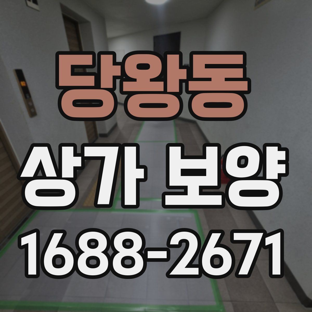 당왕동 상가 보양 뒤 정리와 원상복구 확인