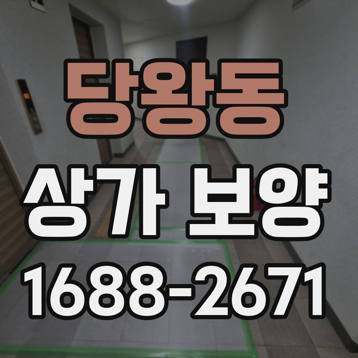 당왕동 상가 보양